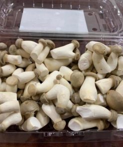 King Oyster Mushroom, Fresh Mushrooms